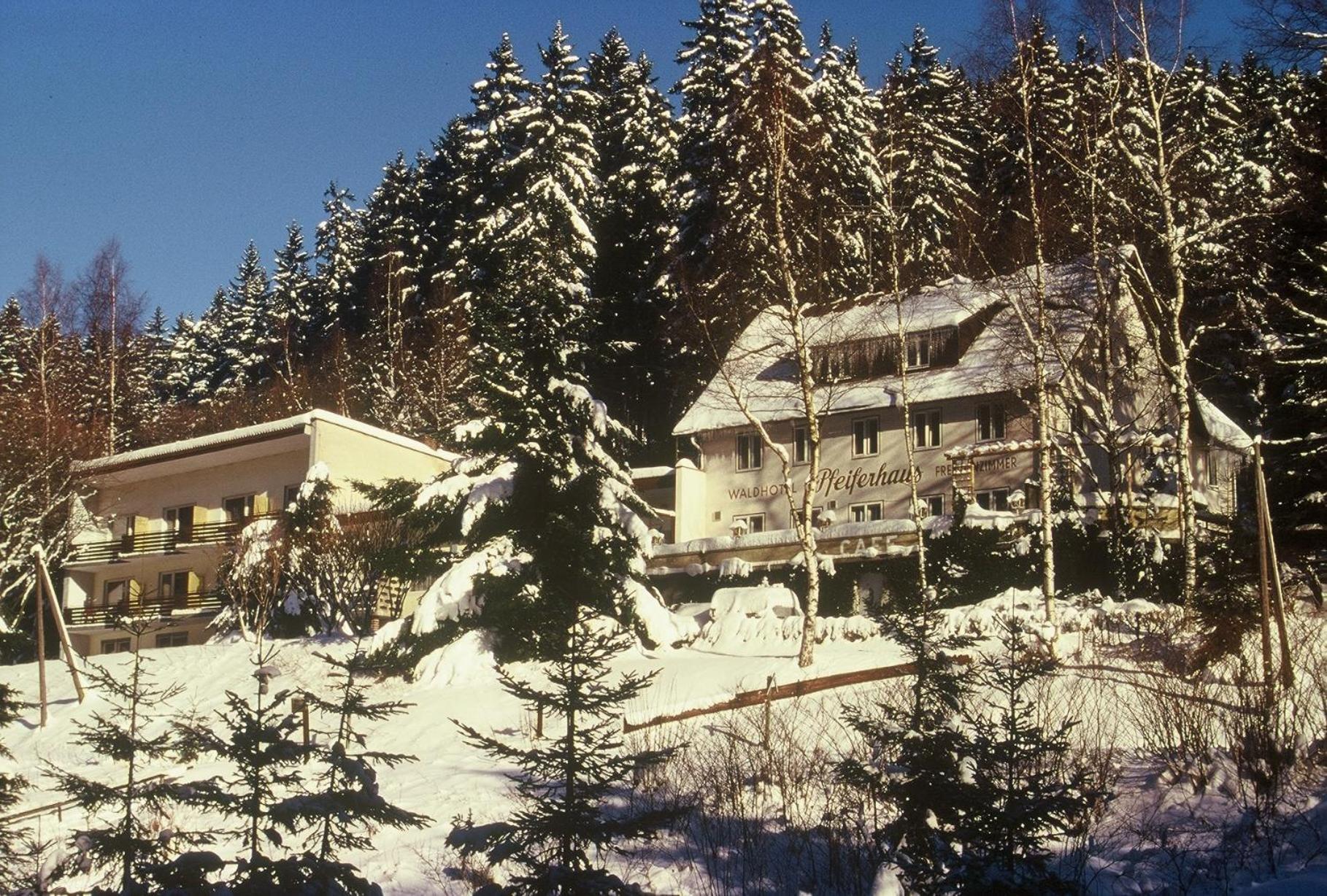 Waldpension Pfeiferhaus Warmensteinach Exterior foto